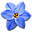 Flowery Vale icon